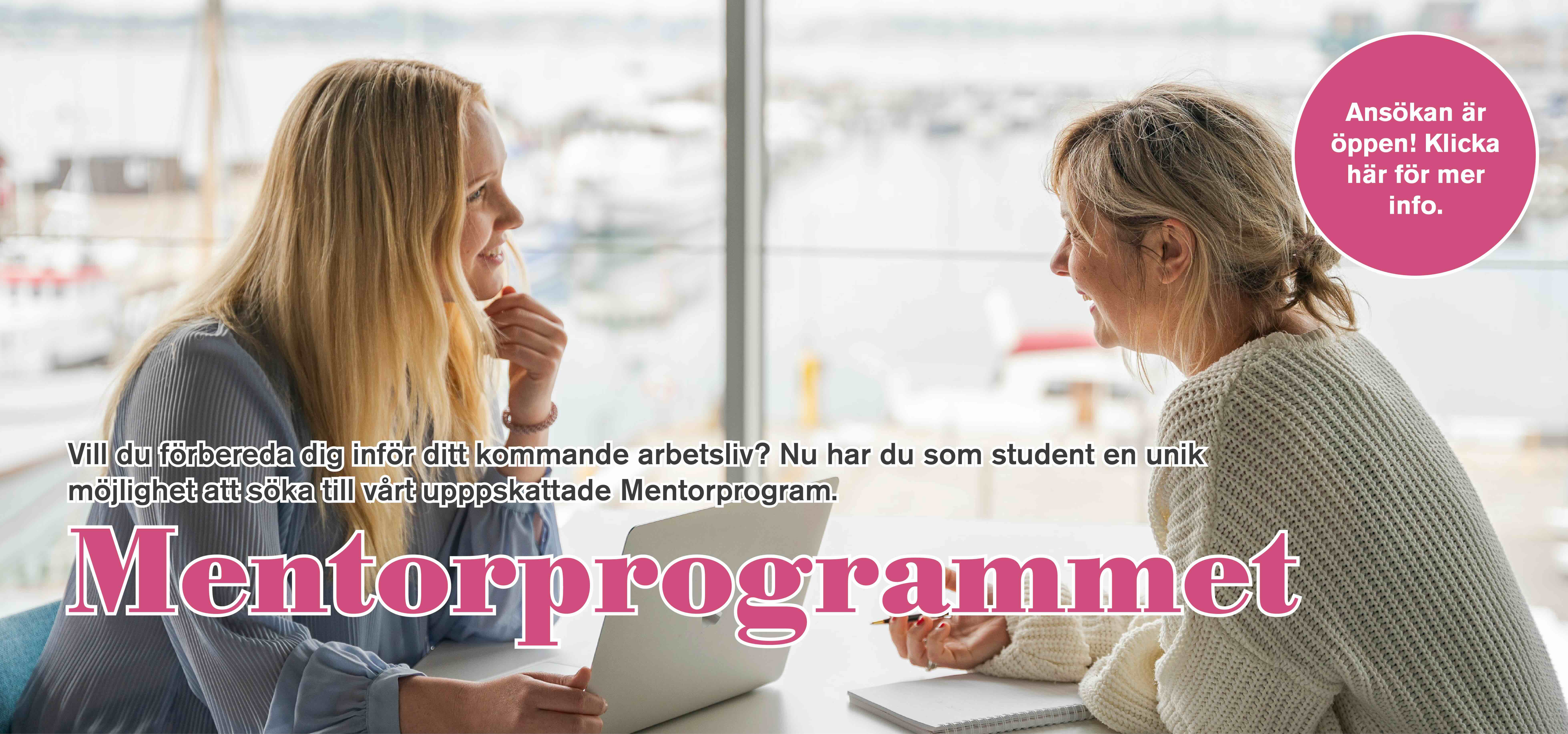Mentorprogrammet